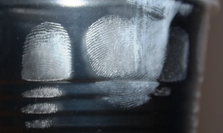 Fingerprinting